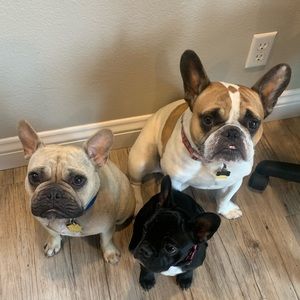 Meet your Posher, Hadley